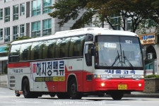 2017.10 - 서울남부터미널의 시외버스들 (90pic) | 보배드림 트럭/버스/중기