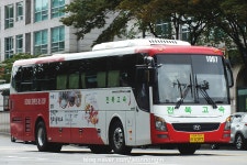 2017.10 - 서울남부터미널의 시외버스들 (90pic) | 보배드림 트럭/버스/중기