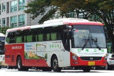 2017.10 - 서울남부터미널의 시외버스들 (90pic) | 보배드림 트럭/버스/중기