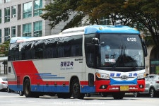 2017.10 - 서울남부터미널의 시외버스들 (90pic) | 보배드림 트럭/버스/중기