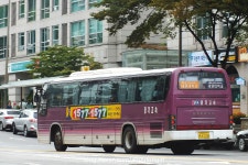 2017.10 - 서울남부터미널의 시외버스들 (90pic) | 보배드림 트럭/버스/중기