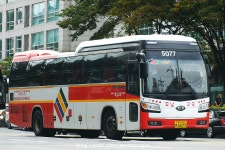 2017.10 - 서울남부터미널의 시외버스들 (90pic) | 보배드림 트럭/버스/중기