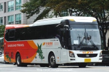 2017.10 - 서울남부터미널의 시외버스들 (90pic) | 보배드림 트럭/버스/중기