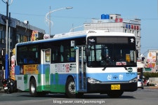 2017.12.16 부산 태종대, 신한여객 버스들~ | 보배드림 베스트글