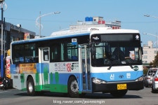 2017.12.16 부산 태종대, 신한여객 버스들~ | 보배드림 베스트글