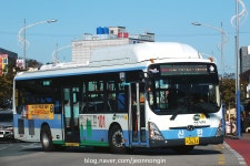 2017.12.16 부산 태종대, 신한여객 버스들~ | 보배드림 베스트글