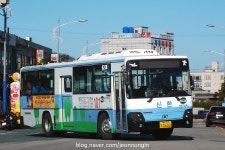 2017.12.16 부산 태종대, 신한여객 버스들~ | 보배드림 베스트글