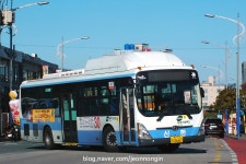 2017.12.16 부산 태종대, 신한여객 버스들~ | 보배드림 베스트글