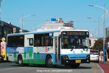 2017.12.16 부산 태종대, 신한여객 버스들~ | 보배드림 베스트글