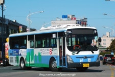 2017.12.16 부산 태종대, 신한여객 버스들~ | 보배드림 베스트글