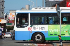 2017.12.16 부산 태종대, 신한여객 버스들~ | 보배드림 베스트글