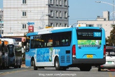 2017.12.16 부산 태종대, 신한여객 버스들~ | 보배드림 베스트글