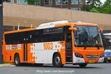 부산의 마린버스를 만나다! 기장 1003번, 태종대 30번 | 보배드림 트럭/버스/중기