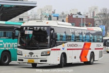 춘천터미널의 강원고속 | 보배드림 트럭/버스/중기