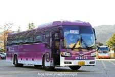 울진터미널, 그리고 후포 | 보배드림 트럭/버스/중기