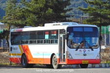 울진터미널, 그리고 후포 | 보배드림 트럭/버스/중기