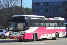 울진터미널, 그리고 후포 | 보배드림 트럭/버스/중기