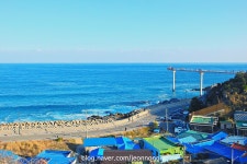 울진터미널, 그리고 후포 | 보배드림 트럭/버스/중기