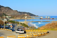 울진터미널, 그리고 후포 | 보배드림 트럭/버스/중기