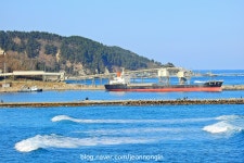 울진터미널, 그리고 후포 | 보배드림 트럭/버스/중기