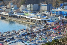 울진터미널, 그리고 후포 | 보배드림 트럭/버스/중기