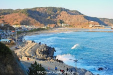 울진터미널, 그리고 후포 | 보배드림 트럭/버스/중기