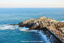 울진터미널, 그리고 후포 | 보배드림 트럭/버스/중기