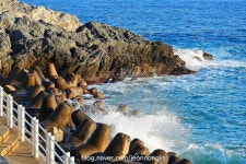 울진터미널, 그리고 후포 | 보배드림 트럭/버스/중기