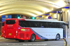 2020.01.24 기록 : 인천공항, T1의 버스들 | 보배드림 베스트글