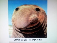 맨발의 코봉이 | 보배드림 국산차게시판