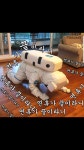 ㅂㄱ) 모 공원 카페 에서... | 보배드림 국산차게시판 ㅂㄱ) 모