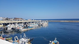 오늘 대게 먹고 왔습니다 | 보배드림 국산차게시판