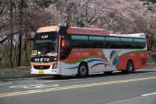 버스 사진들입니다. | 보배드림 국산차게시판