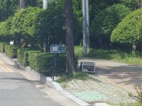 금정구 이마트 대로변 카메라 조심하세에 | 보배드림 국산차게시판