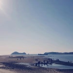 대하구이 먹으러 다녀왓어요 | 보배드림 국산차게시판