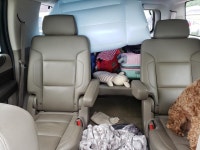 개와 사람이 함께 | 보배드림 국산차게시판