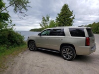 개와 사람이 함께 | 보배드림 국산차게시판