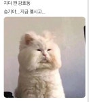 승기야....... | 보배드림 국산차게시판