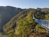 현직 원주 | 보배드림 국산차게시판