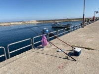 낚시가즈아 | 보배드림 국산차게시판