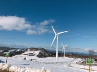 삼양목장 다녀왔습니다 | 보배드림 국산차게시판