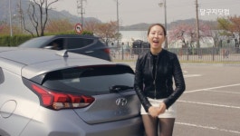 대형차 오너드리븐 쇼퍼드리븐 정의해드립니다 | 보배드림 국산차게시판