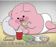 돼지고기 | 보배드림 국산차게시판
