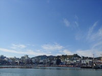 한국의 나포리 | 보배드림 국산차게시판