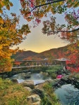 화담숲 좋네요 | 보배드림 국산차게시판