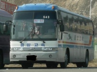 개인적으로 생각하는 역대급 버스 디자인 | 보배드림 국산차게시판