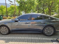 손화타 | 보배드림 국산차게시판