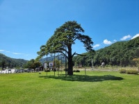 W222 S350L BlueTec 이리듐 실버 사진 | 보배드림 국산차게시판