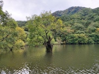 청송 여행 | 보배드림 국산차게시판