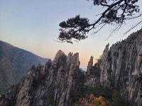두타 쥬기네요 | 보배드림 국산차게시판